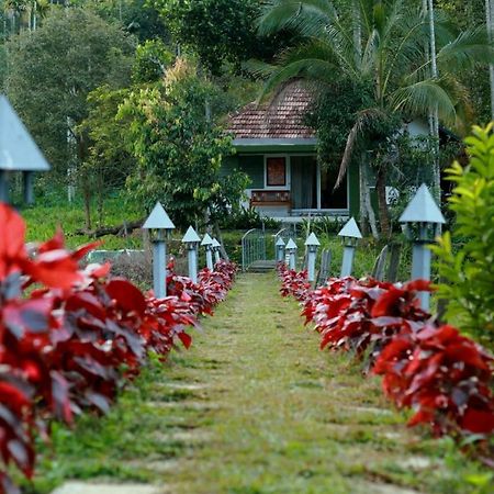 Ayurnest Pool Resort Wayanad Batheri Dış mekan fotoğraf
