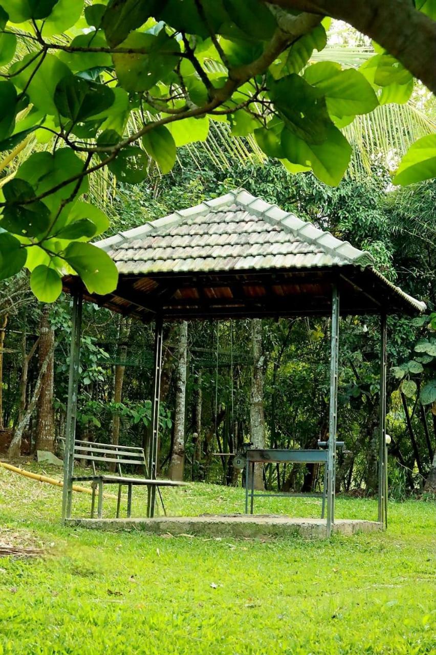 Ayurnest Pool Resort Wayanad Batheri Dış mekan fotoğraf