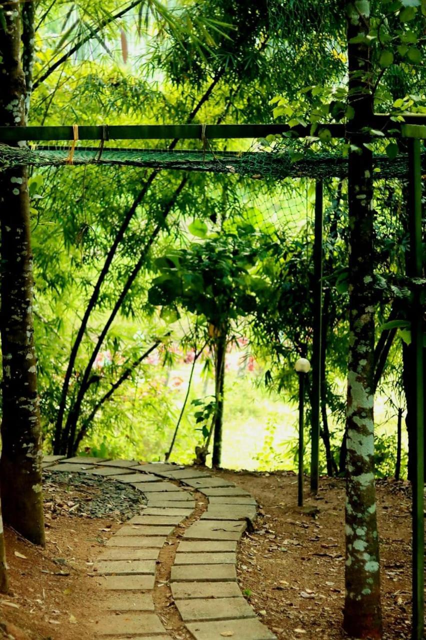 Ayurnest Pool Resort Wayanad Batheri Dış mekan fotoğraf
