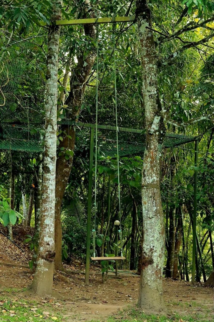 Ayurnest Pool Resort Wayanad Batheri Dış mekan fotoğraf